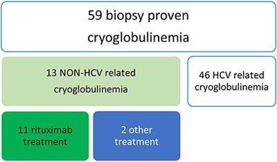 Non HCV-Related Mixed Cryoglobulinemic Vasculitis With Biopsy-Proven Renal Involvement: The Effects of Rituximab